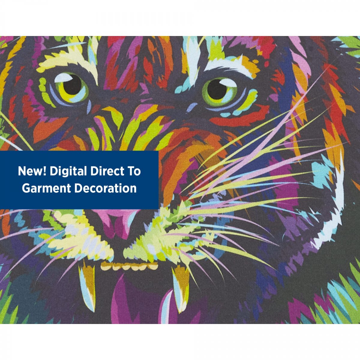 TM17925__125_A_Deco_FR