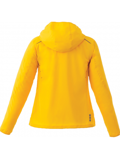 TM92604_234_A_Back_OFF_4169